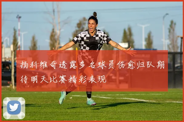 扬科维奇透露多名球员伤愈归队期待明天比赛精彩表现