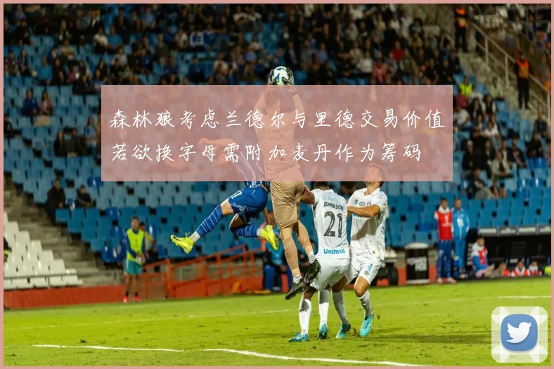 森林狼考虑兰德尔与里德交易价值若欲换字母需附加麦丹作为筹码